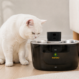 Pawiso RVS Smart Water Dispenser - 3.2L