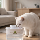 Pawiso Smart Water Dispenser - 3L