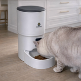 Pawiso Smart Feeder - 4L WiFi